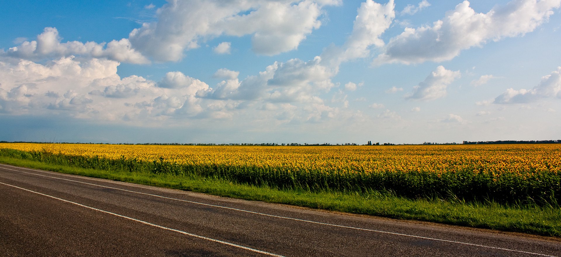 Peaceful road